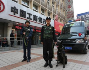 駐?？谌f綠園停車場(chǎng)安保服務(wù)